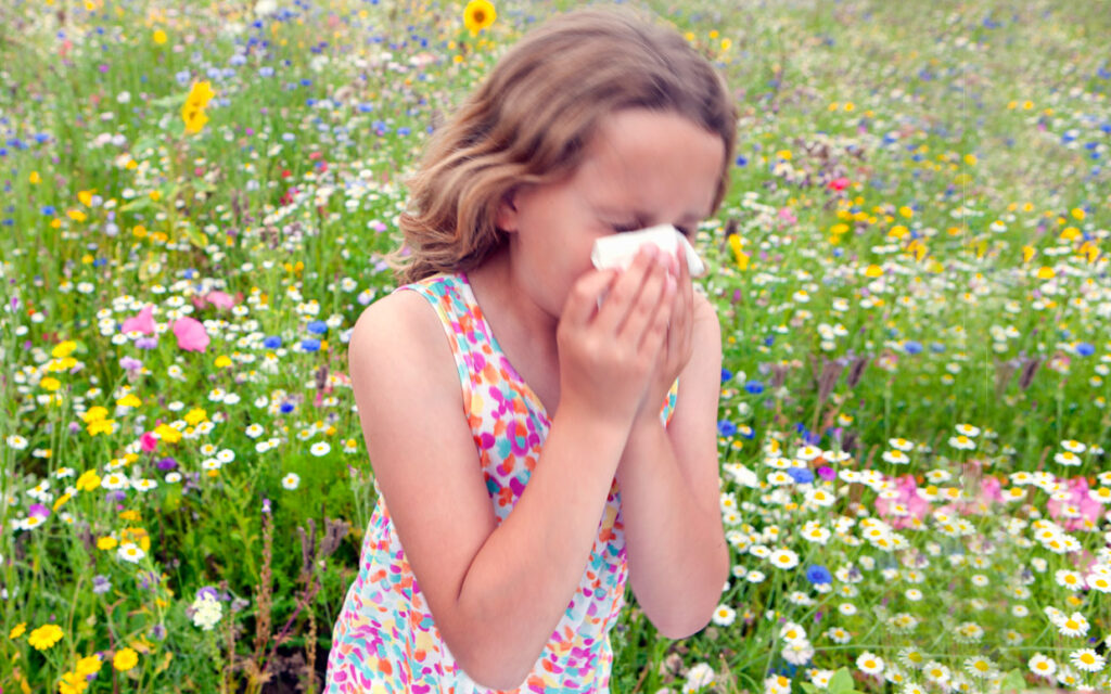 ¿Cómo evitar los síntomas de alergia primaveral?